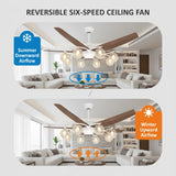 Modern Large 5-Blade Reversible Glass Globe Ceiling Fan Light Image - 6