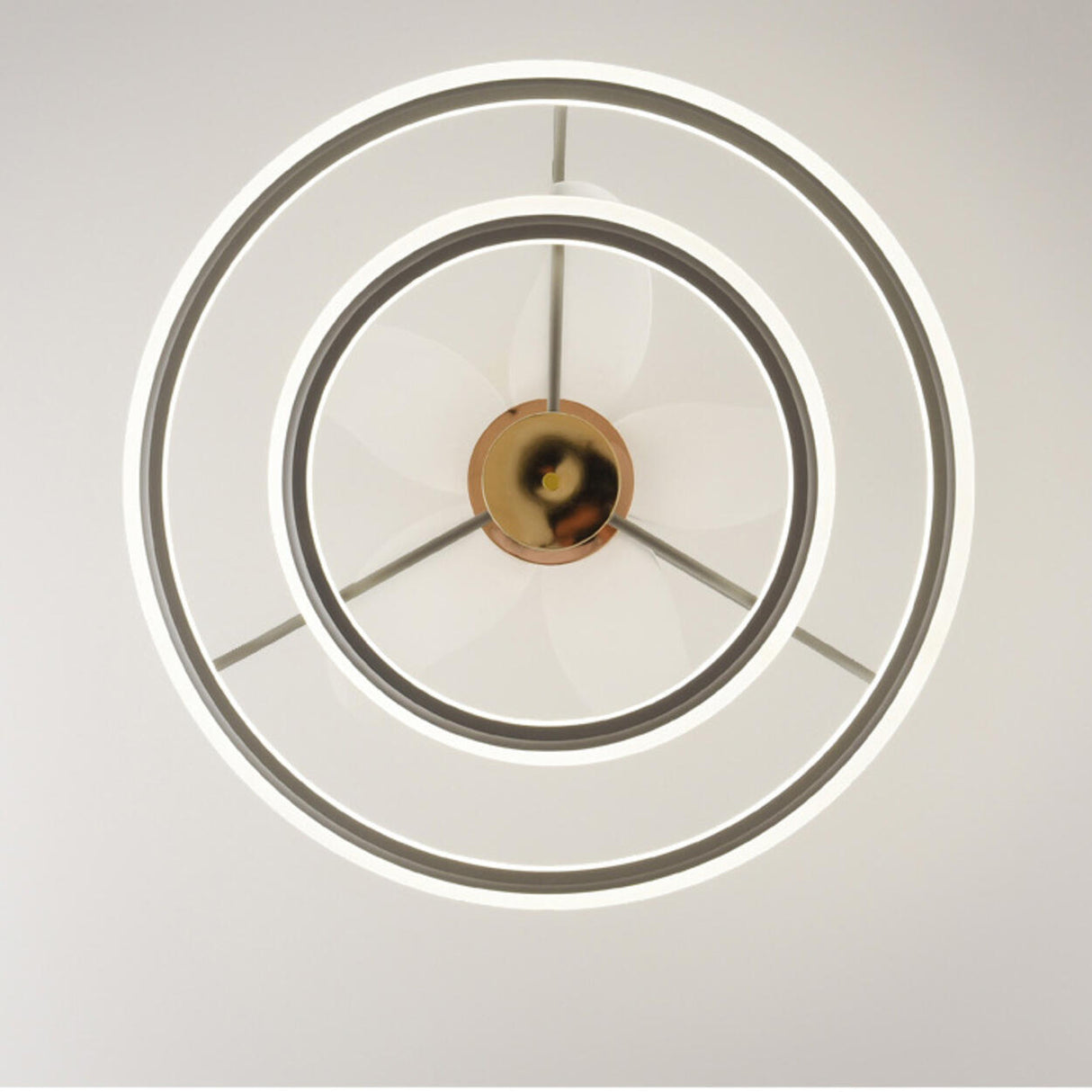Modern Metal 2 Ring 5 Plastic Blades Ceiling Fan Light Image - 7