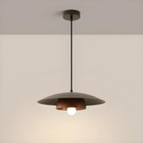 Modern Minimalist Wide Dome Walnut and Iron Pendant Light Image - 13