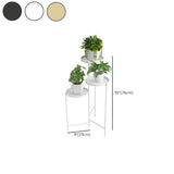 Modern Multi-Tier Orbicular Metal Indoor Gold Plant Stand #size