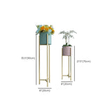 Modern Orbicular Metal Base Floor Plant Stand Gold Image - 18