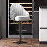 Modern Pneumatic Adjustable Swivel Bar Stool with Backrest Image - 11