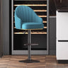 Modern Pneumatic Adjustable Swivel Bar Stool with Backrest Image - 13