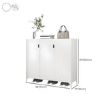 Modern Rectangular Wood Entry White Large Shoe Cabinet Image - 54