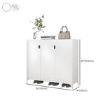 Modern Rectangular Wood Entry White Large Shoe Cabinet Image - 54