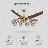 Modern Remote Control 8-Light Globe Ceiling Fan Light Image - 5