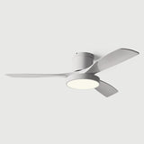 Modern Remote Control Wood Ceiling Fan with LED Light Image - 12