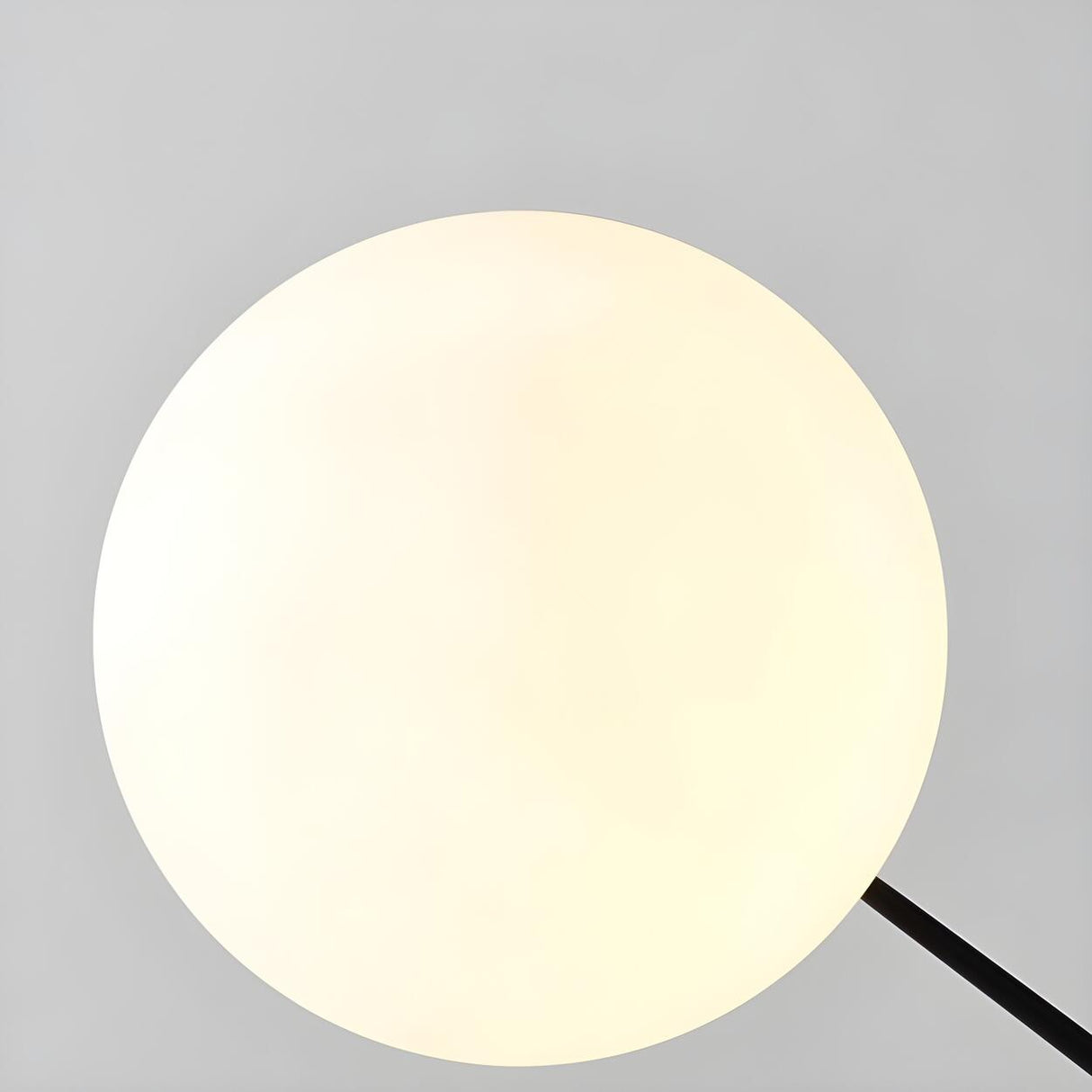 Modern Spherical Globe Black Arched Floor Lamp Image - 8