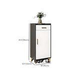 Modern Two-Door Wood Hallway White Large Shoe Cabinet Image - 29