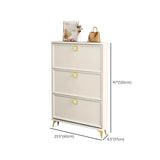 Modern Vertical Wood Hallway White Large Shoe Cabinet Image - 15