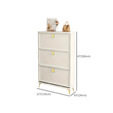 Modern Vertical Wood Hallway White Large Shoe Cabinet Image - 22