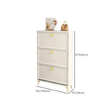 Modern Vertical Wood Hallway White Large Shoe Cabinet Image - 25