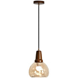 Modern Walnut Clear Glass Dome Pendant Light Image - 6
