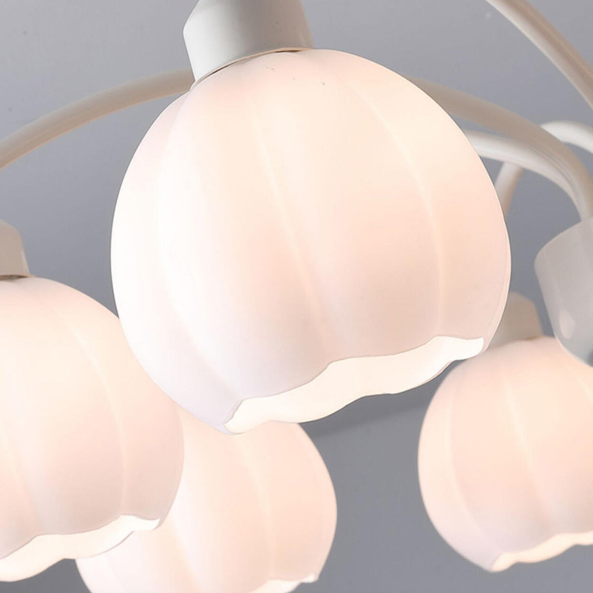 Modern White Glass Tulip Bud Chandelier Adjustable Height Image - 11