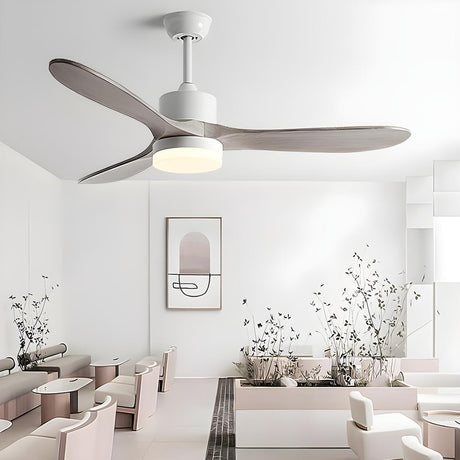 Remote Control Simple 3 Blade Ceiling Fan with Light Image - 1