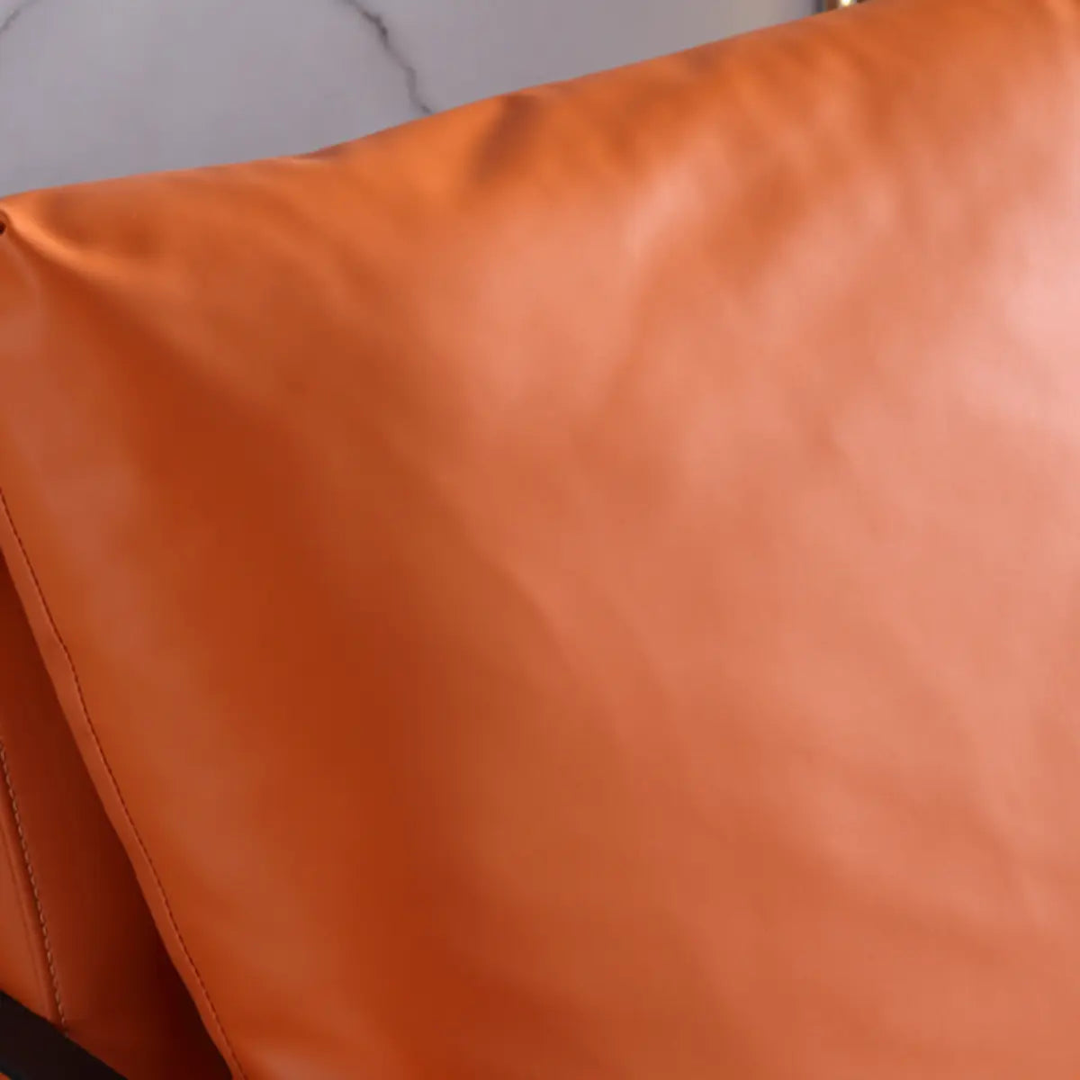 Removable Cushions Cow Leather Metal Sled Arm Chair Image - 14