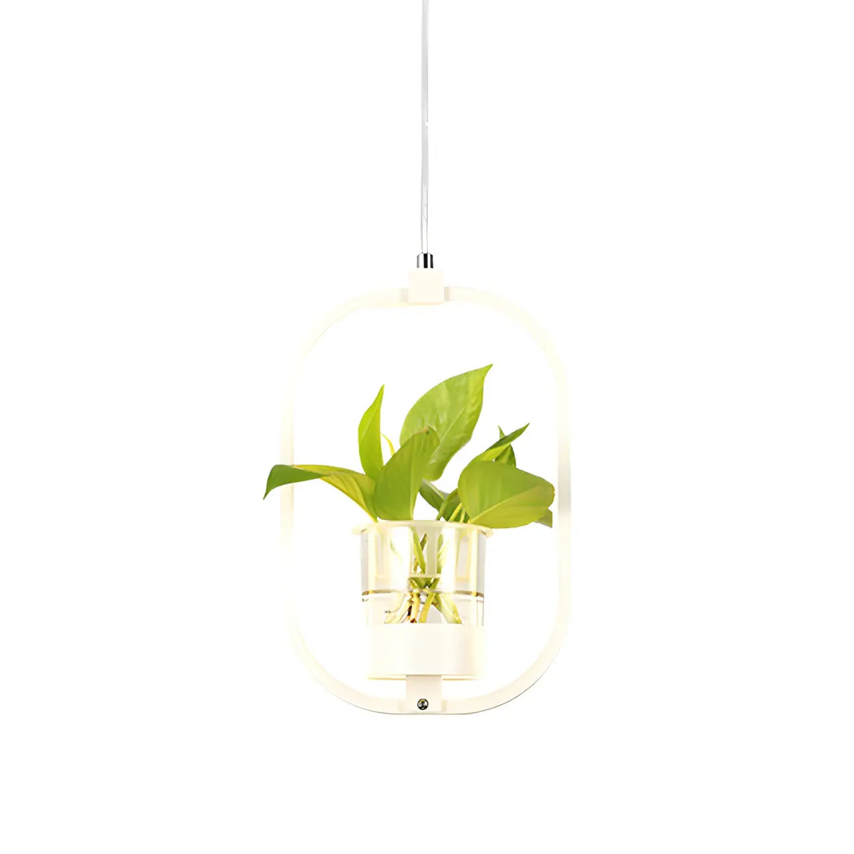 Restaurant Natural Plant Holder Swag LED Pendant Light Image - 4
