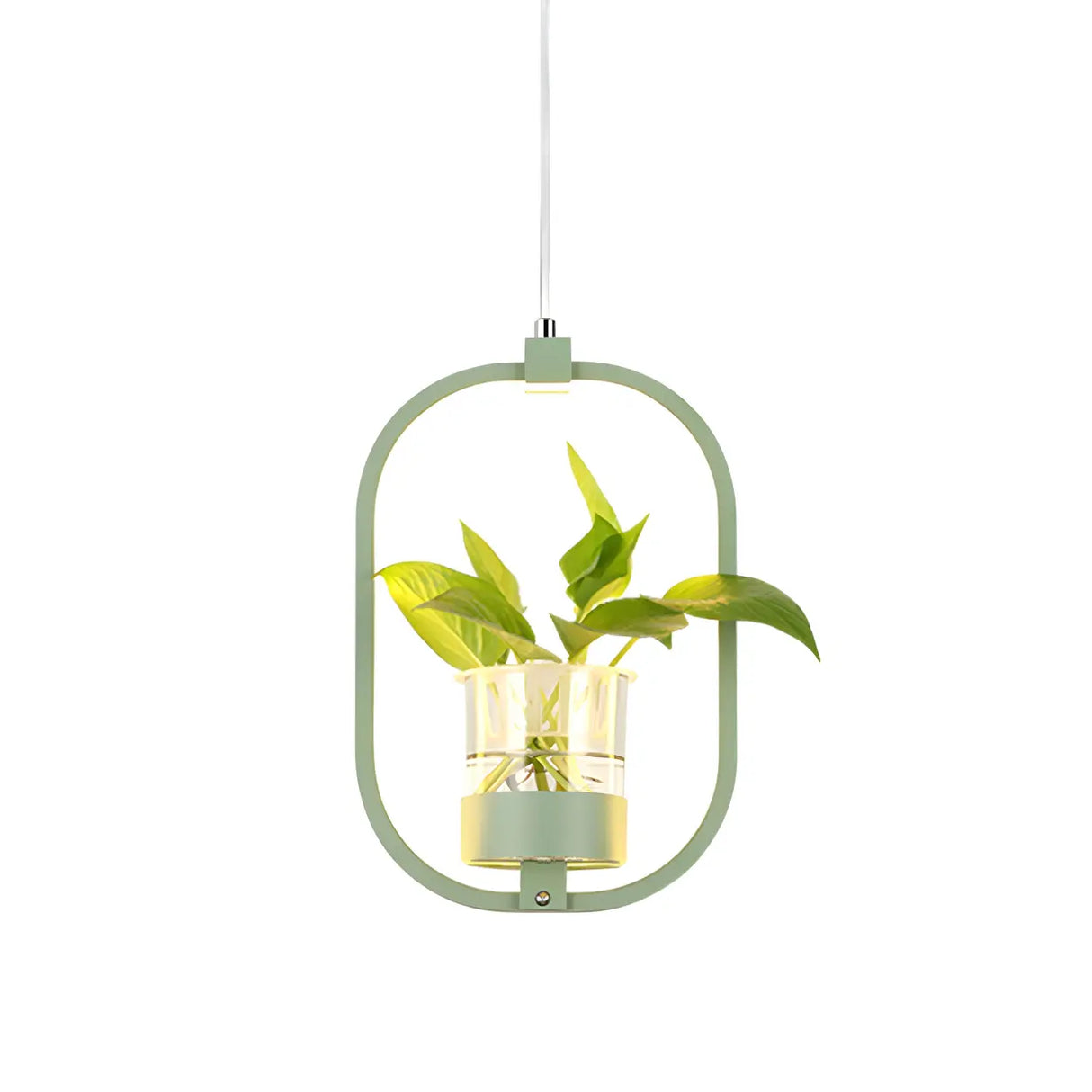 Restaurant Natural Plant Holder Swag LED Pendant Light Image - 8