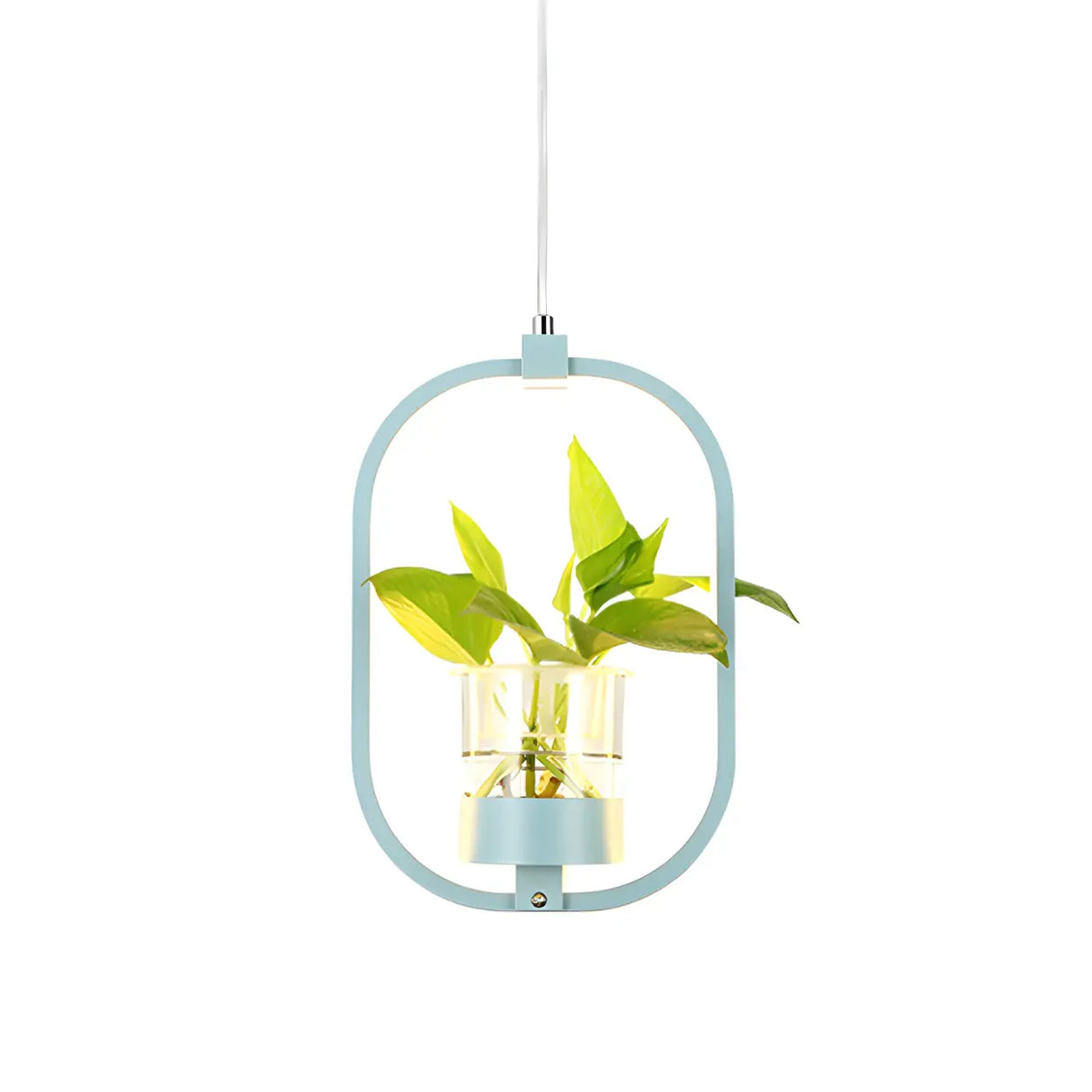 Restaurant Natural Plant Holder Swag LED Pendant Light Image - 9