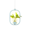 Restaurant Natural Plant Holder Swag LED Pendant Light Image - 9
