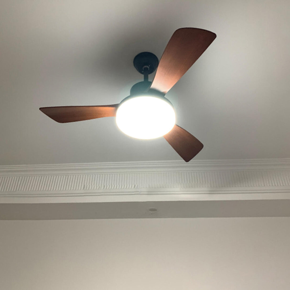 Retro Living Room Metal 3 Blade LED Ceiling Fan Light Image - 4