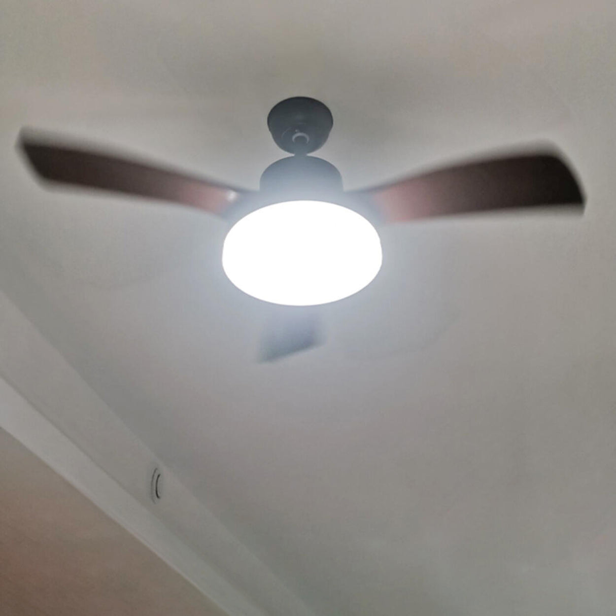 Retro Living Room Metal 3 Blade LED Ceiling Fan Light Image - 8
