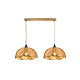 https://www.homebaa.com/collections/rustic-light-fixtures#Rustic Light Fixtures