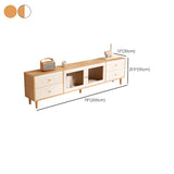 Scandinavian Rubberwood Enclosed Storage TV Stand Image - 16