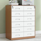 Secure Alloy Vertical Metal Filing Cabinet with Shelves Image - 25