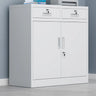 Secure Alloy Vertical Metal Filing Cabinet with Shelves Image - 28