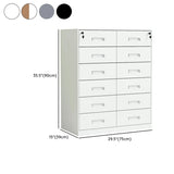 Secure Alloy Vertical Metal Filing Cabinet with Shelves Image - 33