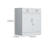 Secure Alloy Vertical Metal Filing Cabinet with Shelves Image - 34