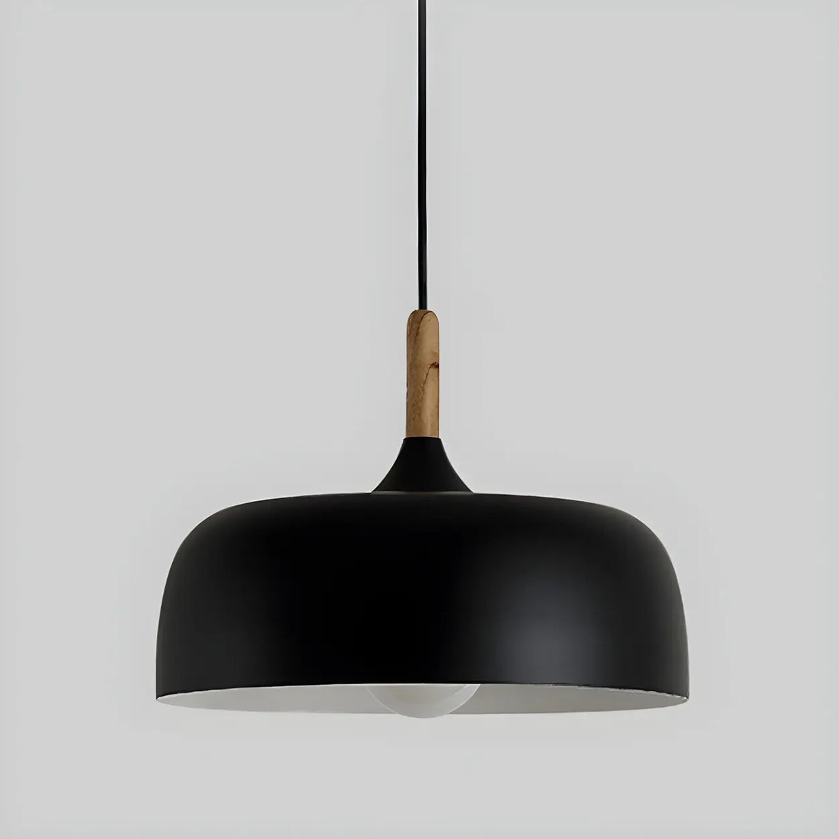 Simple Adjustable Dome-Shaped Iron Cord Pendant Light Image - 11