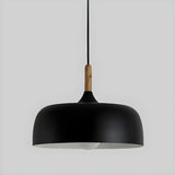 Simple Adjustable Dome-Shaped Iron Cord Pendant Light Image - 11