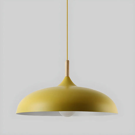 Simple Adjustable Dome-Shaped Iron Cord Pendant Light Image - 2