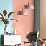 Simple Adjustable Dome-Shaped Iron Cord Pendant Light Image - 8