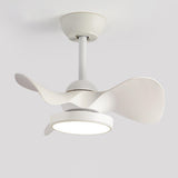 Simple Bedroom 3 Blades Modern LED Ceiling Fan Light Image - 3