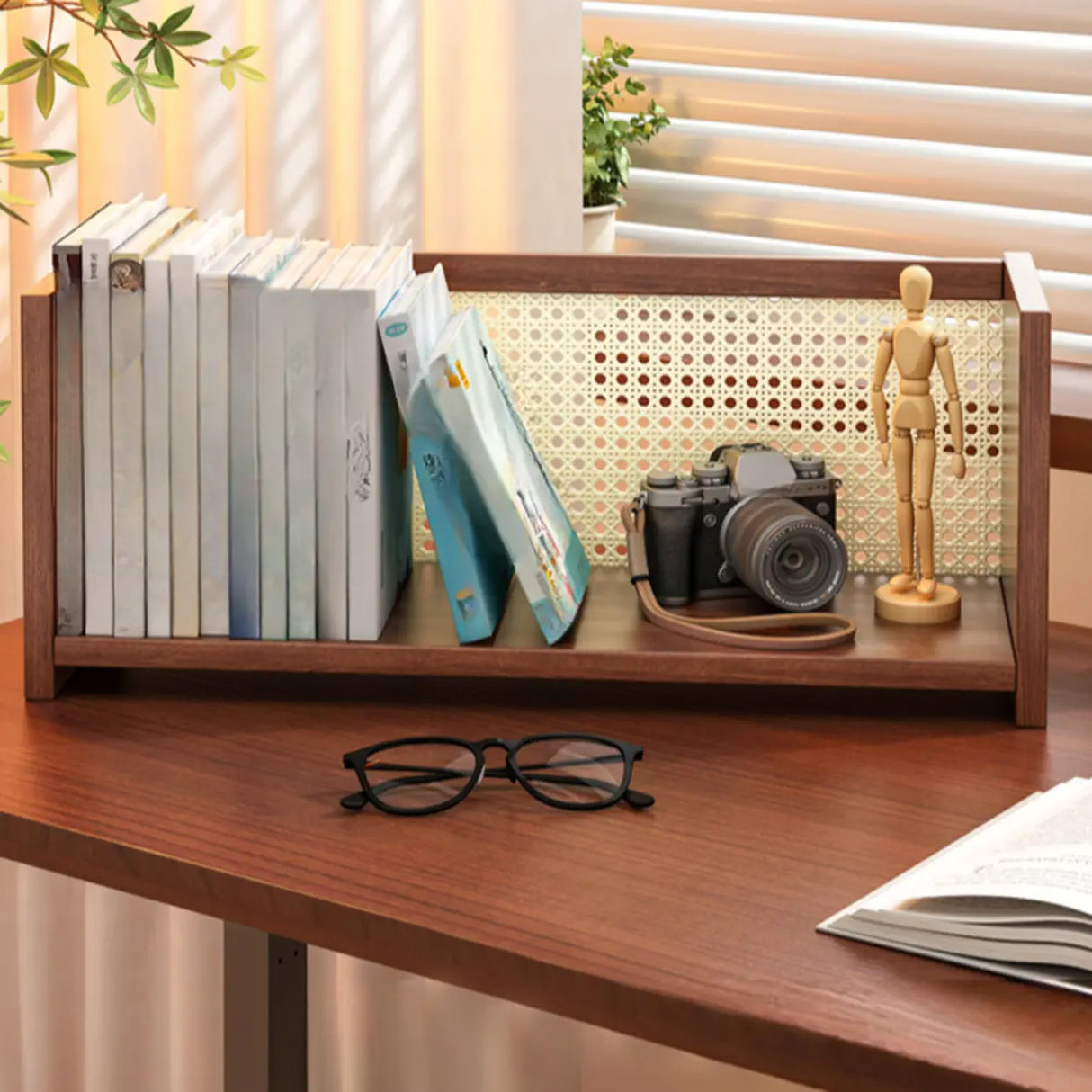 Simple Closed Cane Back Walnut Wood Desktop Bookcase Image - 4