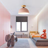 Simple Mini Balcony Dome Semi-Flush Mount Ceiling Light Image - 12