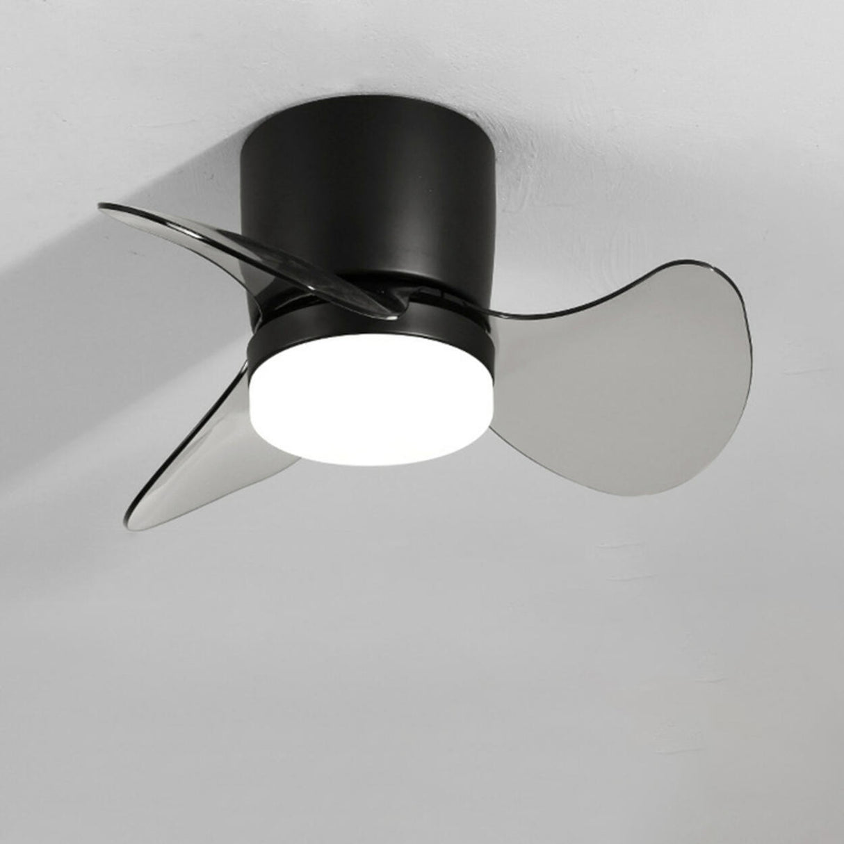 Simple Mini Column 3 Clear Blade Ceiling Fan with Light Image - 11