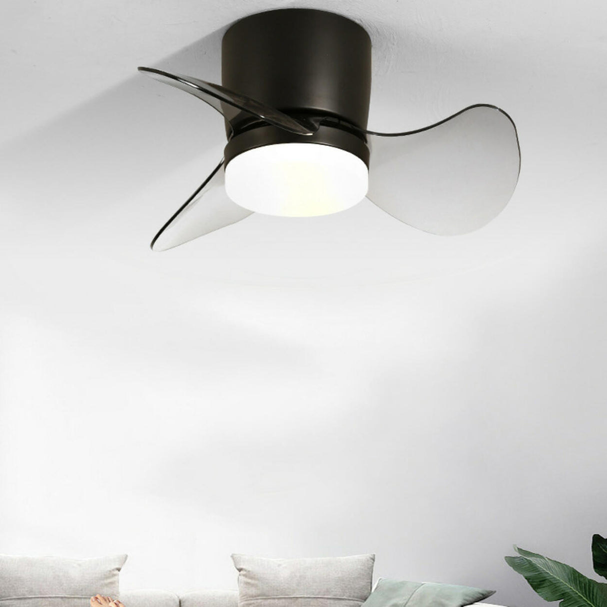 Simple Mini Column 3 Clear Blade Ceiling Fan with Light Image - 3