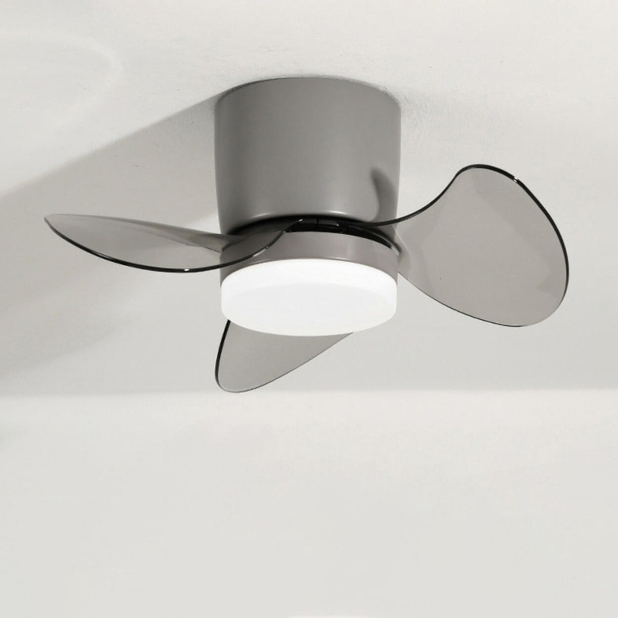 Simple Mini Column 3 Clear Blade Ceiling Fan with Light Image - 4