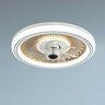 Simple Round Clear Blade Ceiling Fan with LED Light Image - 5