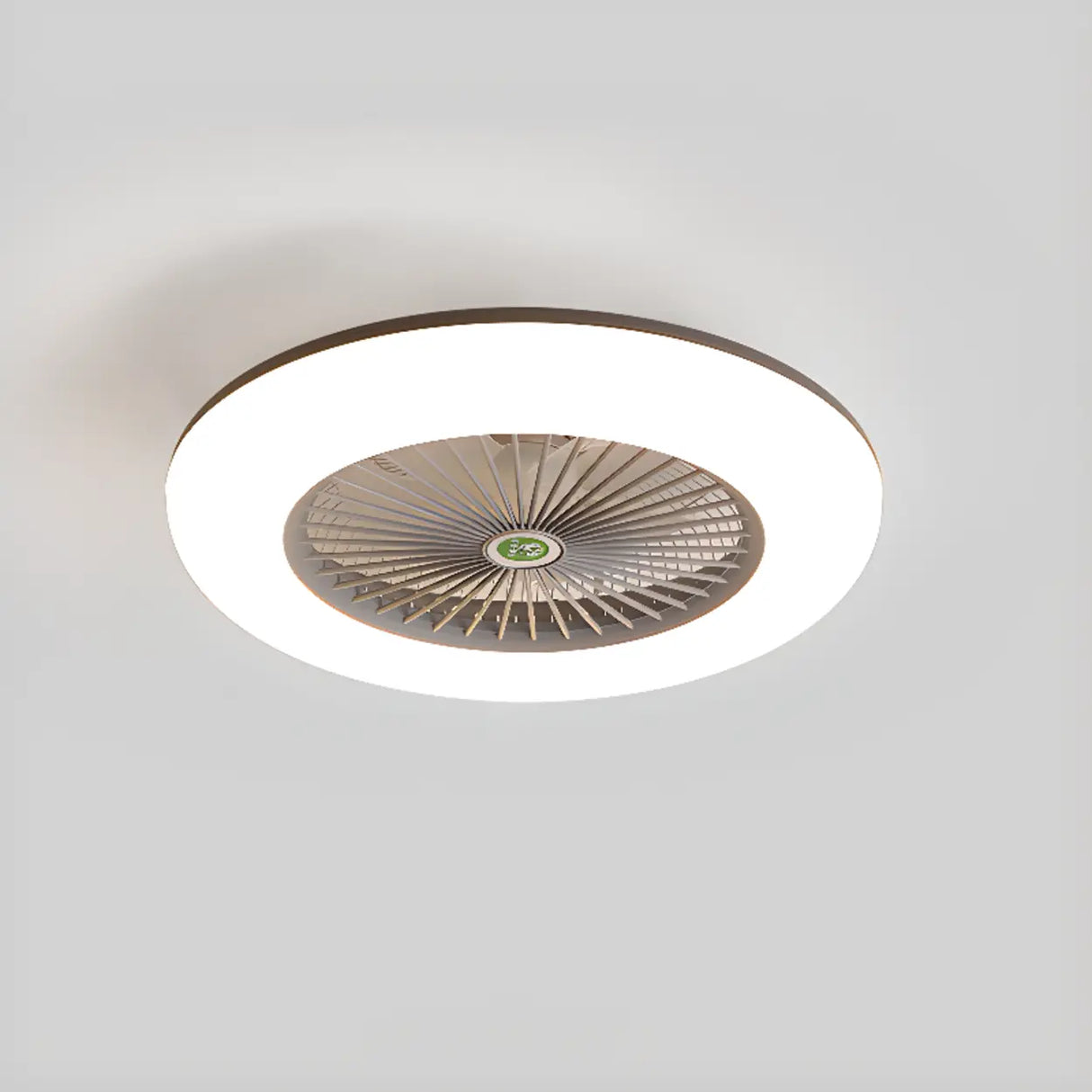 Simple Round Flush Mount Ceiling Fan with LED Light Image - 10