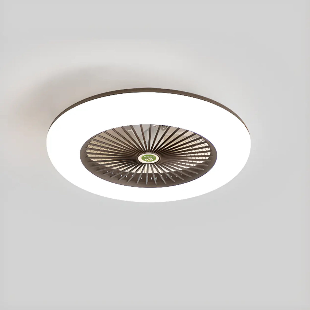 Simple Round Flush Mount Ceiling Fan with LED Light Image - 2