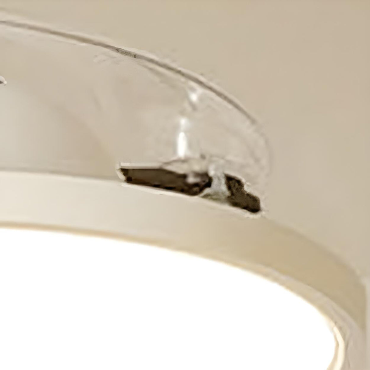 Simple White Round Modern Ceiling Fan with LED Light Image - 9