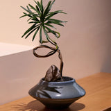 Sleek Double Pedestal Wood Natural Entry Console Table Image - 7
