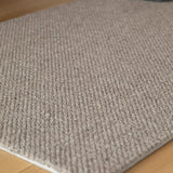 Solid Color Rectangular Polyester Gray Medium Area Rug Image - 2