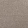 Solid Color Rectangular Polyester Gray Medium Area Rug Image - 6