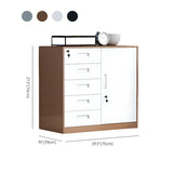 Steel Fire Resistant Storage Vertical Filing Cabinet #size